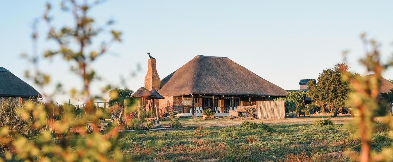 Charihandra Game Lodge Addo Eksteriør bilde