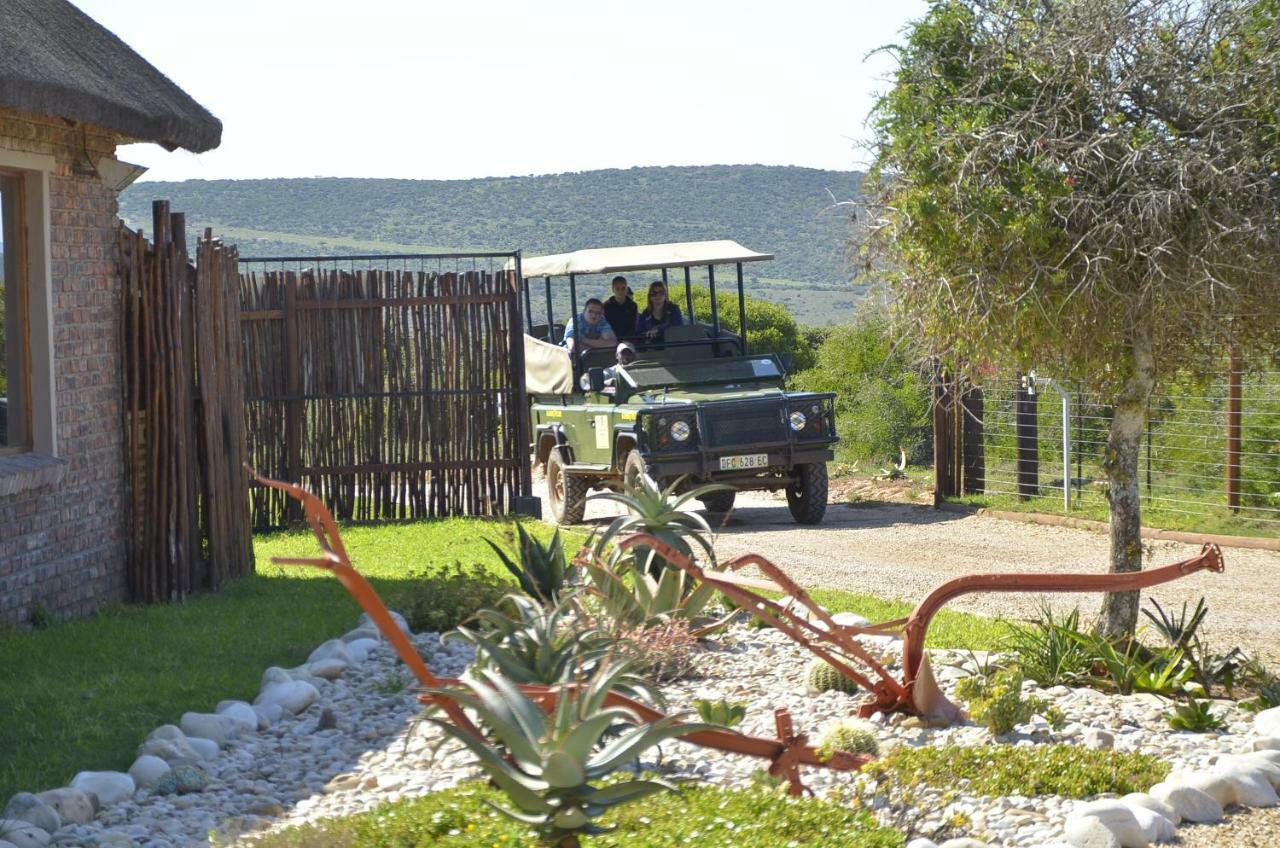 Charihandra Game Lodge Addo Eksteriør bilde